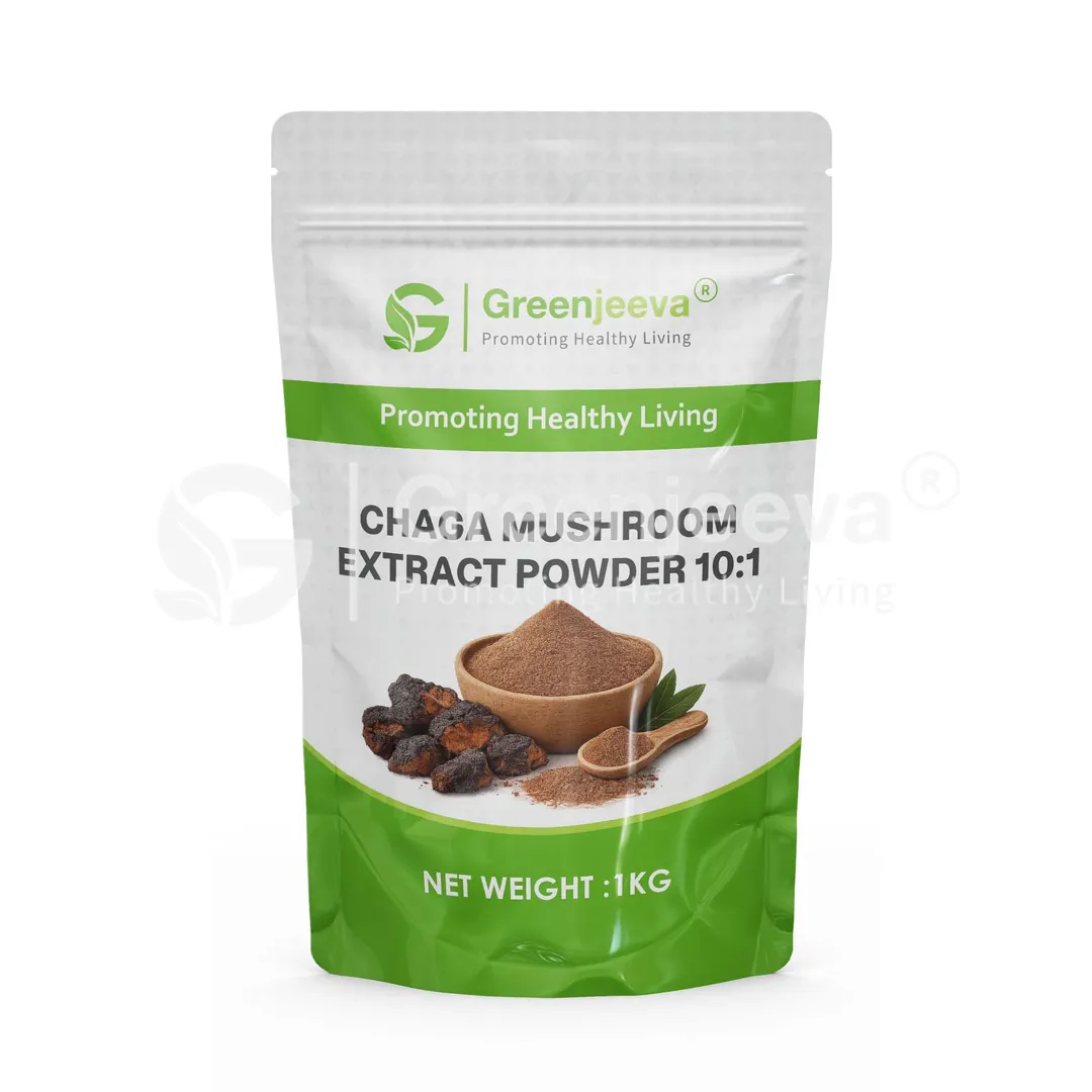 Chaga Mushroom Extract Powder 10 1 Pouch Chaga Mushroom Extract Powder 10 1 Pouch